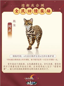 天龙八部私服卡机